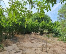 Satılır Həyət evi/villa Xəzər r.