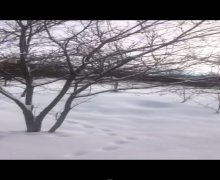 elanlari alqi satqisi elanlari Xızı ş.