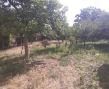 Satılır Torpaq Gəncə ş.