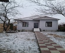 Kirayə (günlük) Həyət evi/villa Qəbələ ş. Kirayə (günlük) Həyət evi/villa Qəbələ ş.