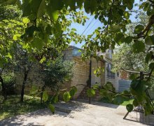 Kirayə (günlük) Bağ evi Qusar ş.