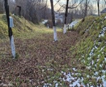 Satılır Torpaq Qəbələ ş.