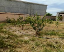 Satılır Torpaq Türkan, Xəzər r.