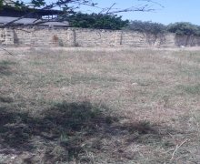 novxanida torpaq satilir Novxanı, Abşeron r.