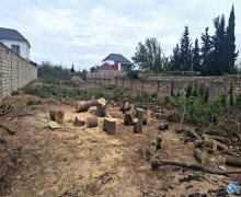 Продажа Участок пос. Нардаран, Сабунчу р. Продажа Участок пос. Нардаран, Сабунчу р.