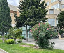 Kirayə (aylıq) Ofis Elmlər akademiyası m., Yasamal r. Kirayə (aylıq) Ofis Elmlər akademiyası m., Yasamal r.