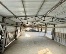 Kirayə (aylıq) Obyekt Binəqədi qəs., Binəqədi r.