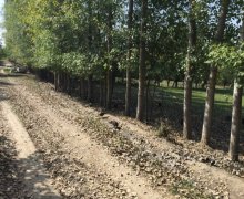 Satılır Torpaq Qusar ş.