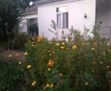 Kirayə (günlük) Həyət evi/villa Qusar ş.