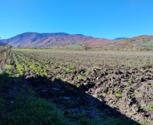 Satılır Torpaq Quba ş.