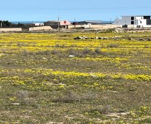 Продажа Участок Дубянди, Хязяр р.