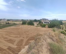 elanlari alqi satqisi elanlari Koroğlu m., Nardaran qəs., Sabunçu r.