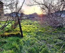 Satılır Torpaq Digah, Abşeron r.