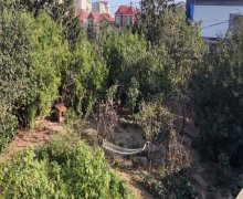 Satılır Torpaq Badamdar qəs., Səbail r.