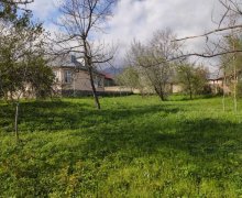 Satılır Torpaq Qəbələ ş.