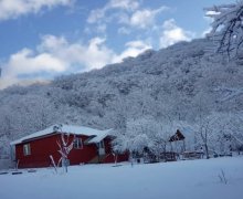 Kirayə (günlük) Həyət evi/villa Qəbələ ş.