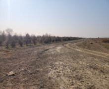 elanlari alqi satqisi elanlari Baş Ələt qəs., Qaradağ r.