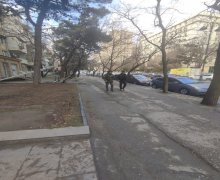 Kirayə (aylıq) Obyekt İnşaatçılar m., Yasamal r.