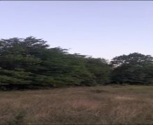 qebelede torpaq alqi satqisi Qəbələ ş.