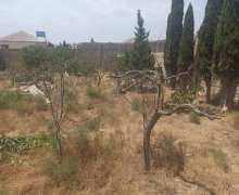 Satılır Torpaq Zirə, Xəzər r.