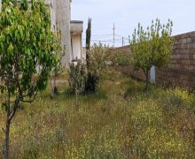 xirdalanda torpaq Xırdalan ş.