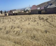 rayonlarda torpaq alqi satqisi Hökməli, Abşeron r.