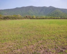 Satılır Torpaq Zaqatala ş.