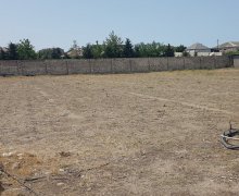 Satılır Torpaq Koroğlu m., Nardaran qəs., Sabunçu r.