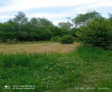 Satılır Torpaq Oğuz ş.