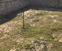 novxanida torpaq satilir Novxanı, Abşeron r.