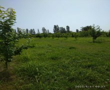 Продажа Участок Хачмаз г.