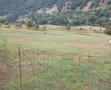 Satılır Torpaq Lerik ş.