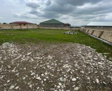 elanlari alqi satqisi elanlari Şəki ş.