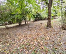 Satılır Torpaq Qəbələ ş.