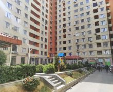 Kirayə (aylıq) Yeni Tikili Elmlər akademiyası m., Yasamal r.