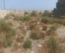 qurd deresi torpaq alqi satqisi Sumqayıt ş.