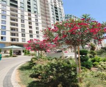 Kirayə (aylıq) Yeni Tikili Nəriman Nərimanov m., Nərimanov r.