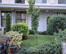 Nerimanovda aylıq kiraye evler Nəriman Nərimanov m., Nərimanov r.