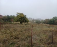 Satılır Torpaq Şamaxı ş.