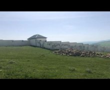 elanlari alqi satqisi elanlari Şamaxı ş.