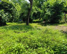 Satılır Torpaq Qəbələ ş.