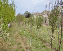 Satılır Torpaq Buzovna, Xəzər r.