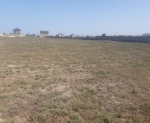 mastagada torpaq alqi satqisi Koroğlu m., Maştağa qəs., Sabunçu r.