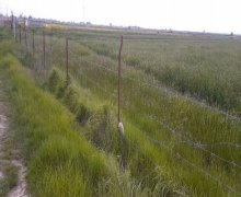 elanlari alqi satqisi elanlari Şabran ş.