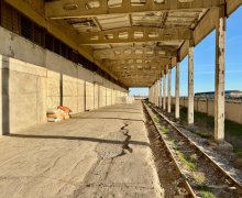 Kirayə (aylıq) alqi satqisi Sumqayıt ş.