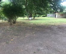 ismayillida torpaq alqi satqisi İsmayıllı ş.