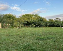 Satılır Torpaq Qəbələ ş.