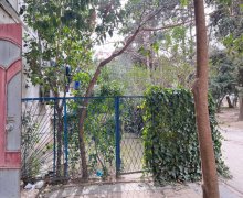 Kirayə (aylıq) Köhnə Tikili 20 Yanvar m., Nəsimi r.