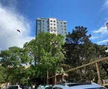 memar ecemide satilan evler Memar Əcəmi m., 5-ci mikrorayon, Nəsimi r.