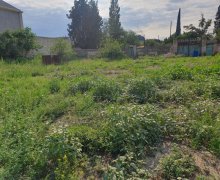 Satılır Torpaq Gəncə ş.